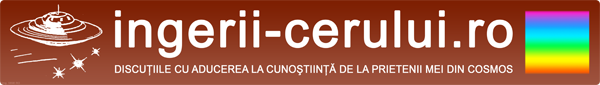 Logo of website ingerii-cerului.ro